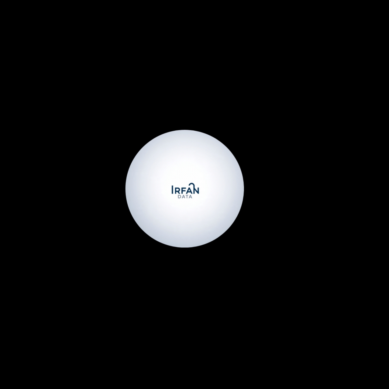 IRFANDATA Logo